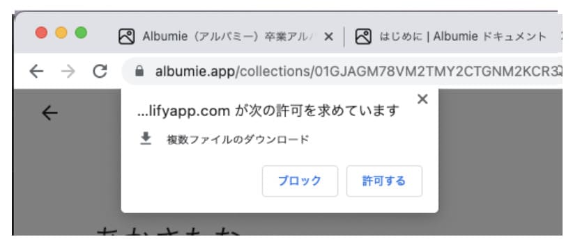 複数ファイルのダウンロードの許可
